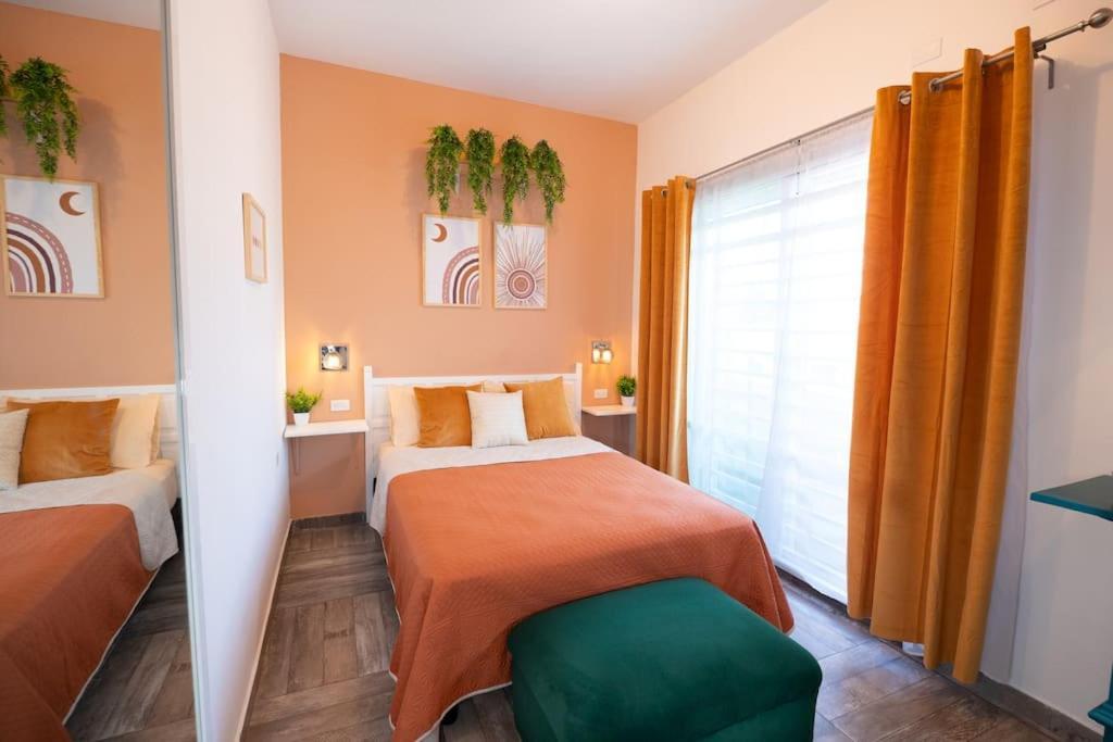 New Apt Super Cozy & Pet Friendly Close To Marina #3 拉巴斯 外观 照片