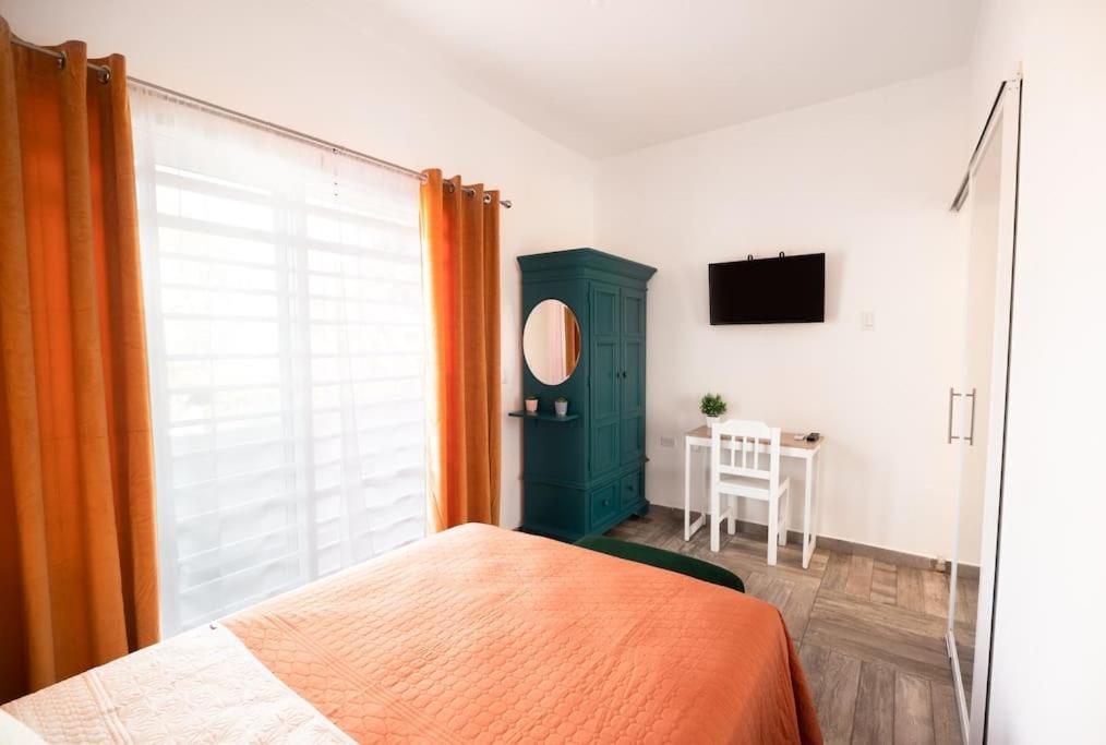 New Apt Super Cozy & Pet Friendly Close To Marina #3 拉巴斯 外观 照片
